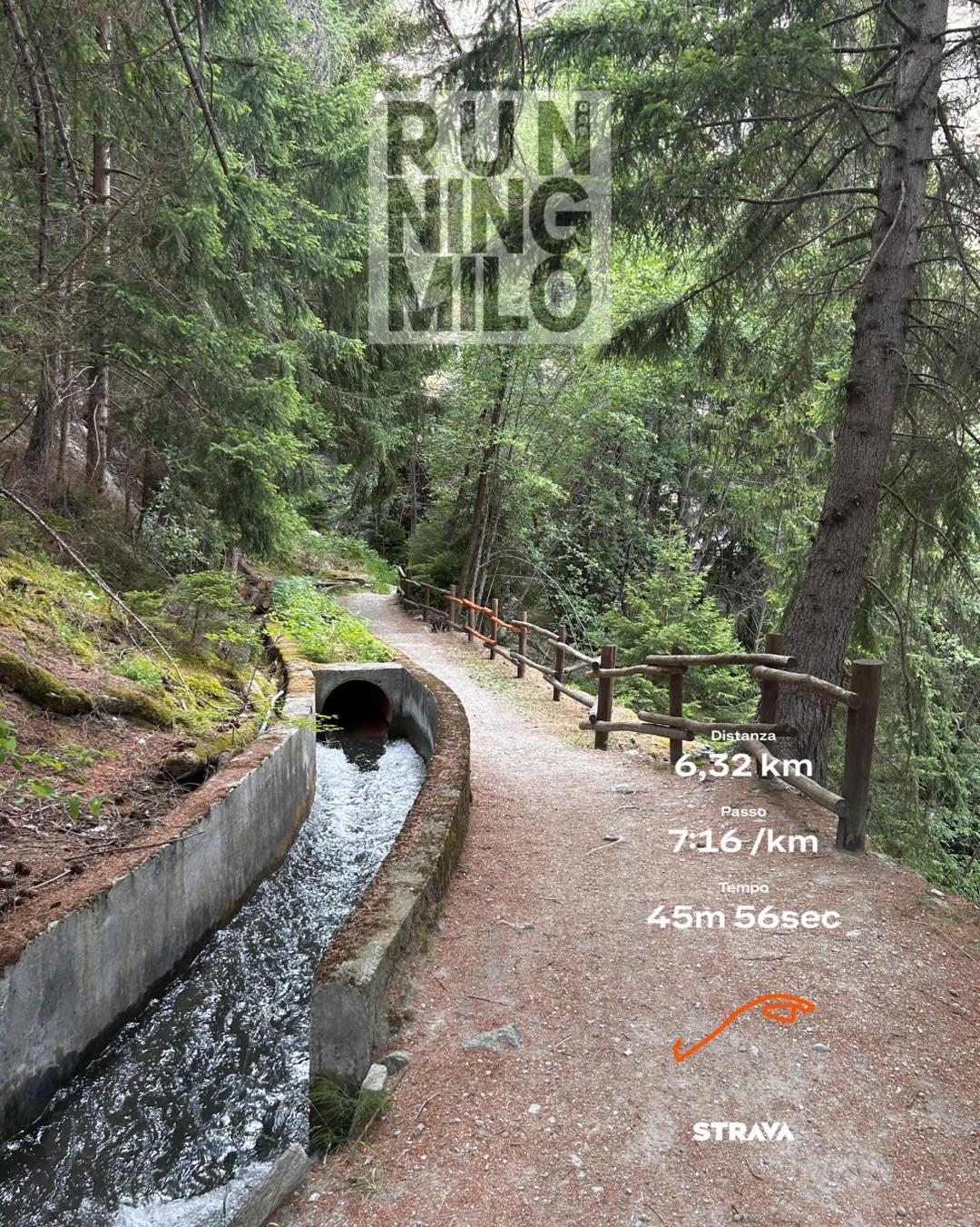 65 giorni. Due mesi senza correre.

Solo chi ama davvero questa disciplina può capire cosa significhi.

Per molti correre è un passatempo. Per altri è un modo per tenersi in forma. Per qualcuno è solo un numero su Strava.

Per me è molto di più.

Ci lamentiamo sempre: del caldo, dell’umidità, della sveglia alle 6 del mattino perché dopo è impossibile correre. Poi arriva l’inverno e ci lamentiamo del freddo, del buio, delle giornate troppo corte.

Ma quando un ortopedico ti dice: “Per due mesi niente corsa”, improvvisamente cambiano tutte le prospettive.

Inizi un percorso con fisioterapista, palestra, esercizi, pazienza. E capisci una cosa: daresti qualsiasi cosa per tornare a sudare sotto il sole, anche con 45 gradi.

Questa mattina, finito il turno alle 6, non sono nemmeno passato da casa.

Mi sono cambiato direttamente al lavoro, ho infilato pantaloncini e scarpe e sono uscito.

Pochi chilometri. Piano. Lentissimo.

Quasi faticoso.

Il corpo sembrava aver dimenticato quei movimenti, quel gesto così naturale che per anni avevo dato per scontato.

Ma il cuore… no.

Il cuore sapeva perfettamente dove stava tornando.

Oggi non è stato un allenamento.

È stato un piccolo ritorno alla libertà.

E vi assicuro che non la darò mai più per scontata.

Chi può correre oggi, lo faccia. Anche se fa caldo. Anche se piove. Anche se la voglia è poca.

Perché correre non è un diritto. È una fortuna immensa.

👇 Vi siete mai fermati per un lungo infortunio? Qual è stata la sensazione quando avete rimesso le scarpe da corsa?

#runningmilo #corsa #ikkosatletitaranto #maratona #mezzamaratona #corsainmontagna