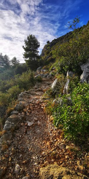 sentieri montagna runningmilo sentieri montagna runningmilo